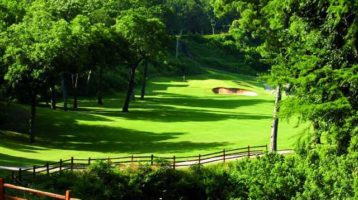 How Is Your Business Doing?